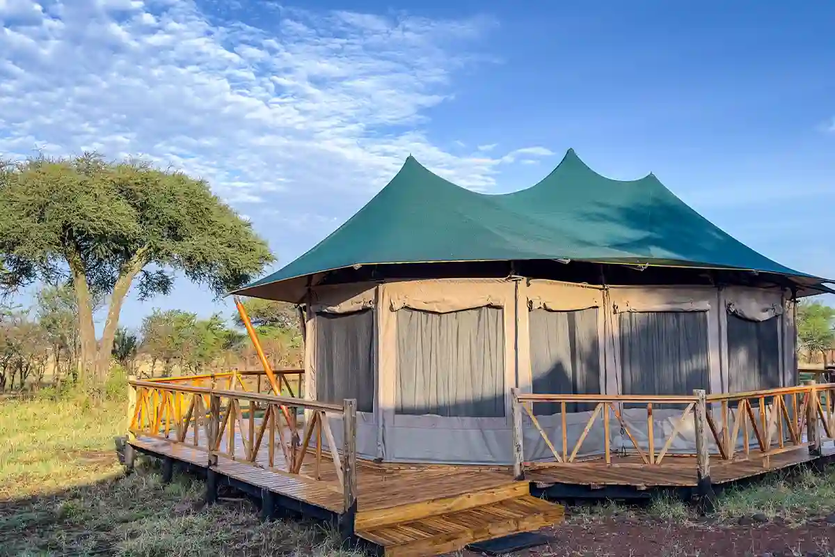 Wilderness Camp